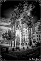 /album/fotogaleria-fotos-b-n/img-0187-inpixio-640x480-jpg/